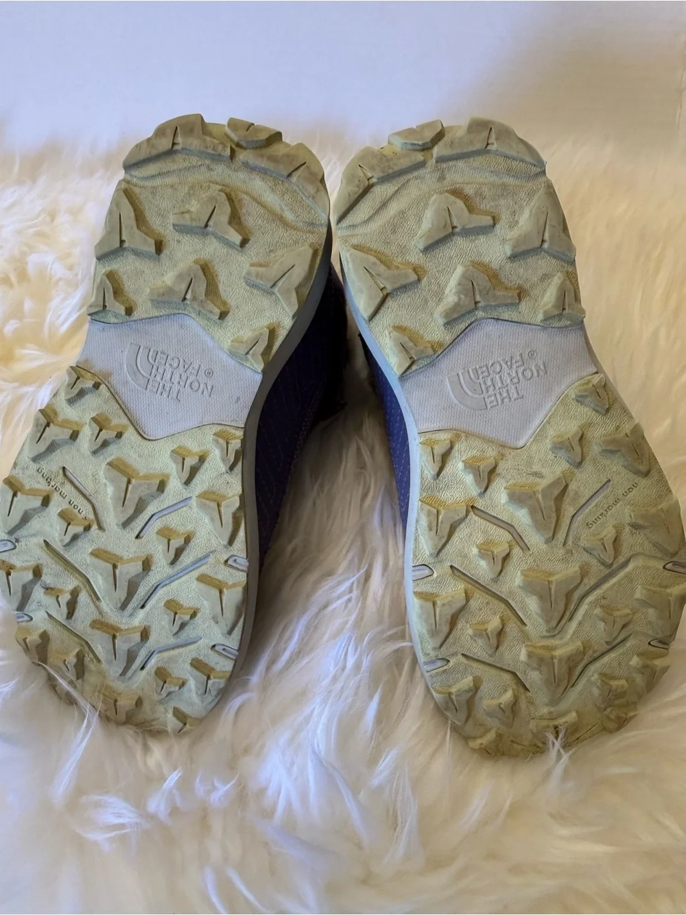The North Face Lavender Trail Hiking Boots with Mint Accents